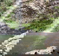 Twin Falls Circuit Springbrook National Park - Perths Hotel