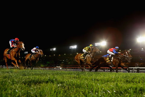 Canterbury Park Racecourse - Perths Hotel 0