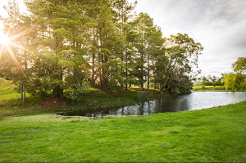 Curlewis Golf Club & The Range At Curlewis The Bellarine - Perths Hotel 1
