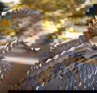 Evandale - Perths Hotel