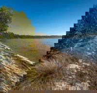 Jewfish Walk - Perths Hotel