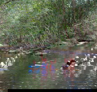 Kerewong State Forest - Perths Hotel
