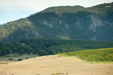 Langi Ghiran State Park - Perths Hotel 0