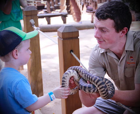 Macadamia Castle - Perths Hotel 1