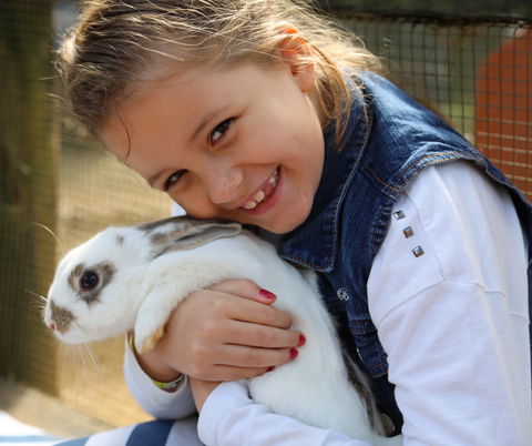 Macadamia Castle - Perths Hotel 2