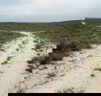 Ngarkat Conservation Park - Perths Hotel