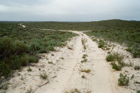 Ngarkat Conservation Park - Perths Hotel 0