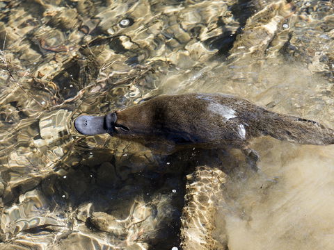 Orara River - Perths Hotel 1