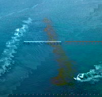 Port Noarlunga Reef Sanctuary Zone - Encounter Marine Park