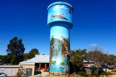 Riverina Outdoor Art Trail - Perths Hotel 1