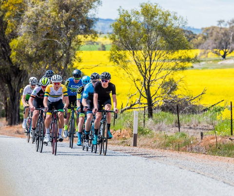 The Heron's Highway - Avon River Cycle Trail - Perths Hotel 0