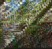 Thylogale Track - Perths Hotel