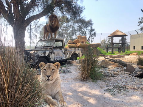 Zambi Wildlife Retreat - Perths Hotel 0