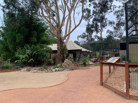 Zambi Wildlife Retreat - Perths Hotel 2