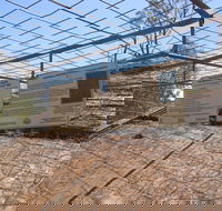 Aboriginal Carvings - Perths Hotel