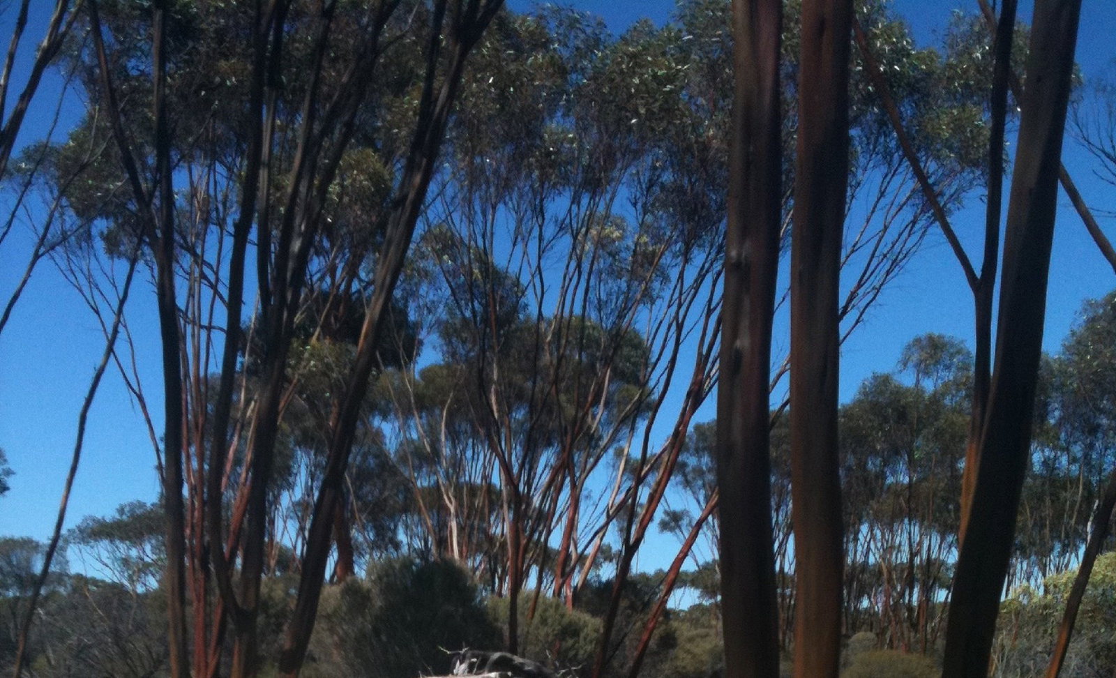 Boorabbin WA Perths Hotel