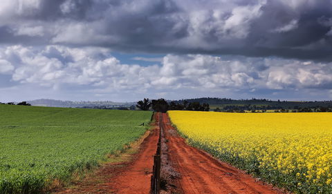 Canola Trail - Perths Hotel 1