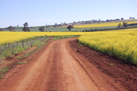 Canola Trail - Perths Hotel 2
