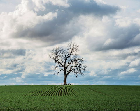 Clare Valley - Perths Hotel 0