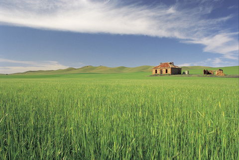 Clare Valley - Perths Hotel 1