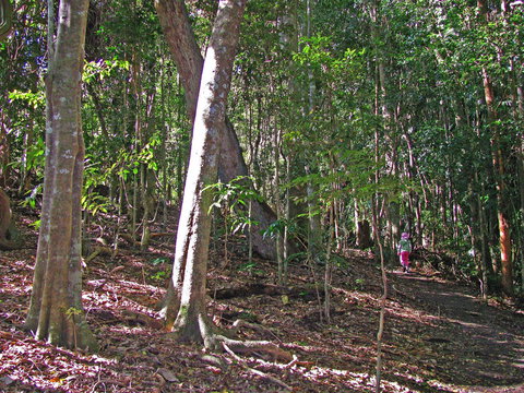 Cooyar - Perths Hotel 1