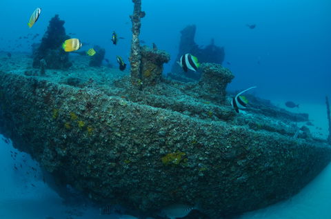 Curtin Artificial Reef Dive Site - Perths Hotel 1