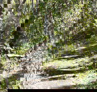 Euglah Rock Walking Track - Perths Hotel