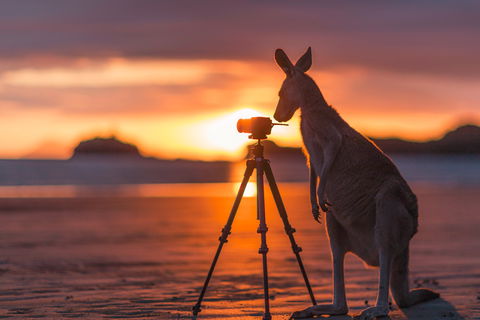 Explore The Mackay Region In Three Days - Perths Hotel 0