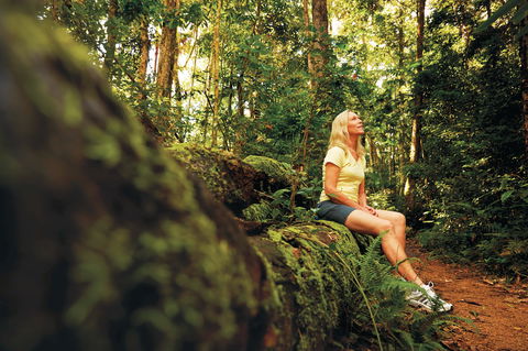Explore The Mackay Region In Three Days - Perths Hotel 1