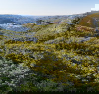 Gold Coast Hinterland Great Walk - Perths Hotel