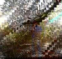 Kinglake National Park - Perths Hotel