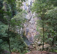 Kondalilla Falls Circuit Kondalilla National Park