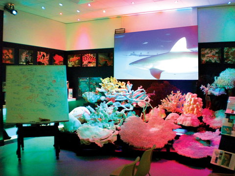 Marine Discovery Centre Hastings Point - Perths Hotel 0