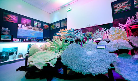 Marine Discovery Centre Hastings Point - Perths Hotel 2