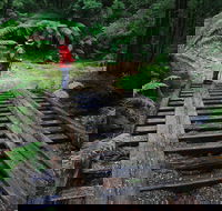 Montezuma Falls - Perths Hotel