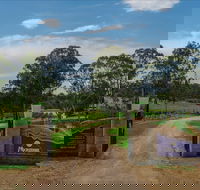 Moorebank Vineyard - Perths Hotel