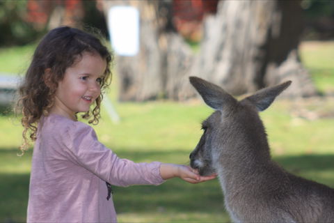 Potoroo Palace Native Animal Sanctuary - Perths Hotel 1