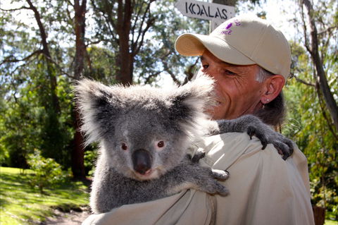 Potoroo Palace Native Animal Sanctuary - Perths Hotel 2