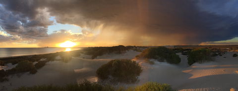 Shelly Beach Dune Walk Trail - Perths Hotel 2