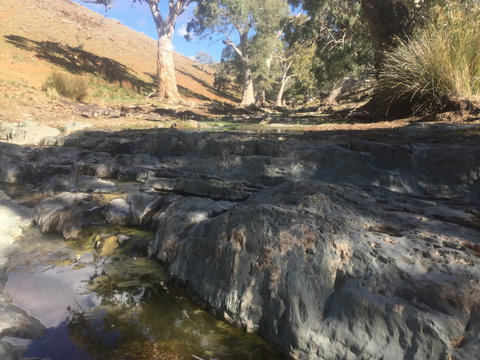 Three Creeks Station -Arkaroona Creek Walk - Perths Hotel 0