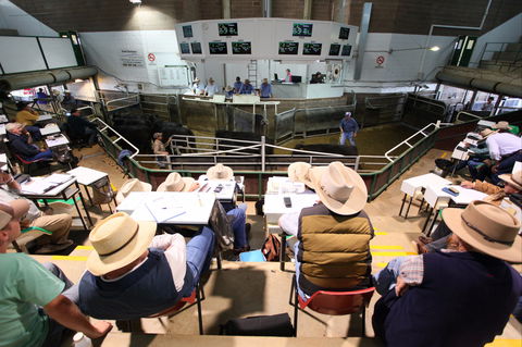 Wagga Wagga Livestock Marketing Centre - Perths Hotel 2