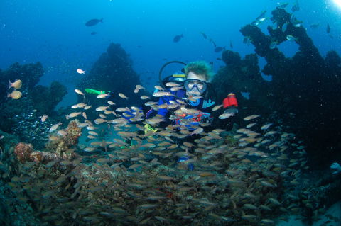 Aarhus Dive Site - Perths Hotel 0