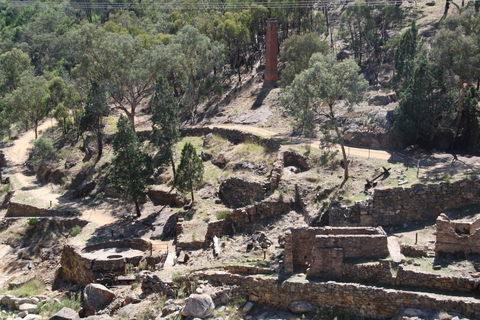 Adelong Falls Gold Mill Ruins - Perths Hotel 0