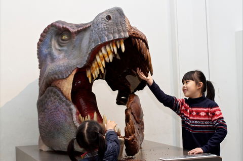 Australian Museum - Perths Hotel 0