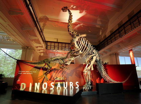 Australian Museum - Perths Hotel 2