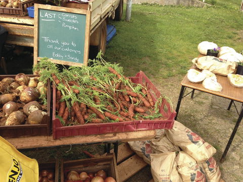 Burnie Farmers Market - Perths Hotel 0