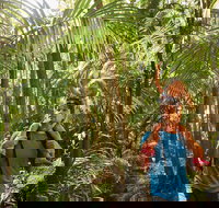 Canungra - Perths Hotel