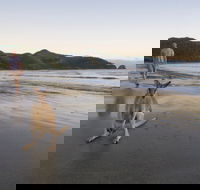Cape Hillsborough National Park - Perths Hotel
