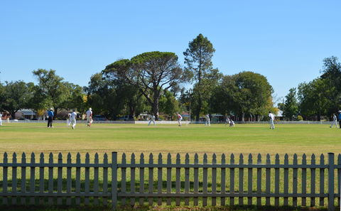 Cootamundra Cricketing Exploration - Perths Hotel 0