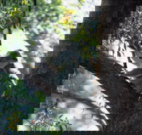 Daisy Hill - Perths Hotel